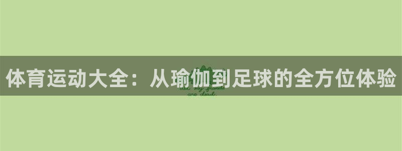 海南凯发官网下载:体育运动大全:从瑜伽到足球的全方位体验