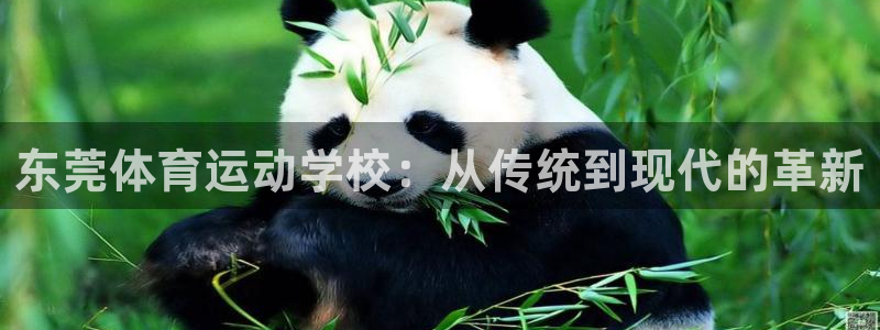 凯发官方正版app娱乐40996:东莞体育运动学校:从传统到